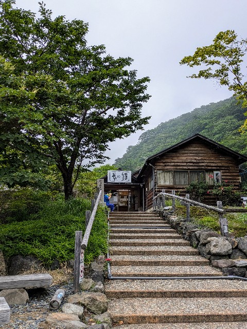 f:id:hanawantan:20240724213101j:image