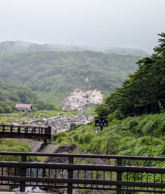 f:id:hanawantan:20240726194259j:image