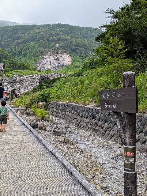 f:id:hanawantan:20240726194326j:image