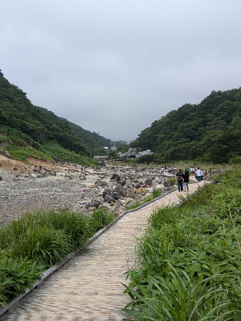 f:id:hanawantan:20240726194435j:image