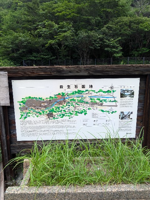 f:id:hanawantan:20240726194825j:image