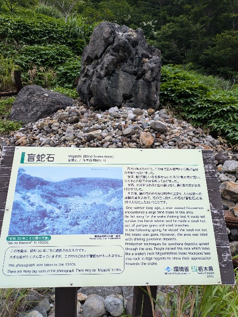 f:id:hanawantan:20240727063908j:image