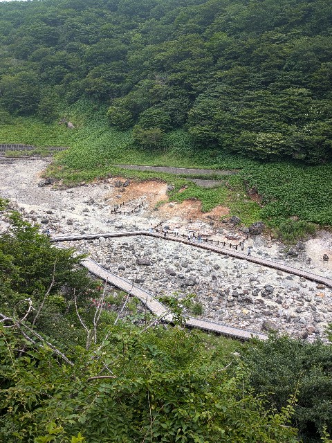 f:id:hanawantan:20240727064807j:image