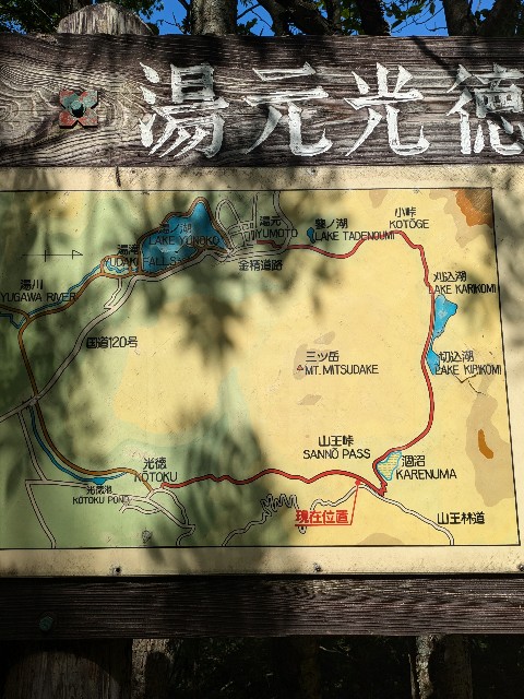 f:id:hanawantan:20240728115649j:image
