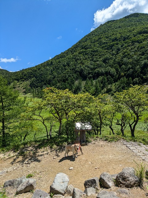 f:id:hanawantan:20240728120909j:image