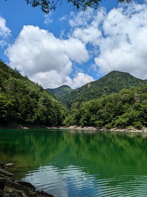 f:id:hanawantan:20240728122038j:image