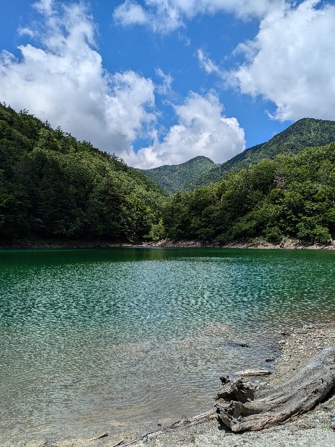 f:id:hanawantan:20240728122258j:image