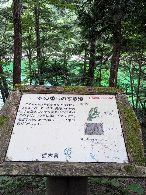 f:id:hanawantan:20240728183129j:image