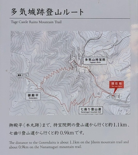 f:id:hanawantan:20240730214749j:image