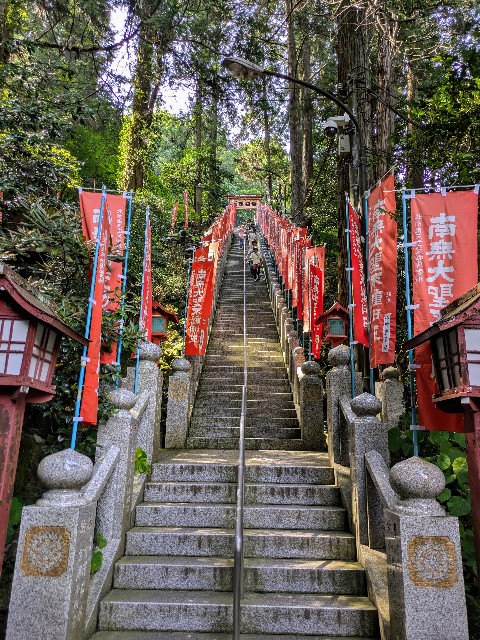 f:id:hanawantan:20240730220314j:image