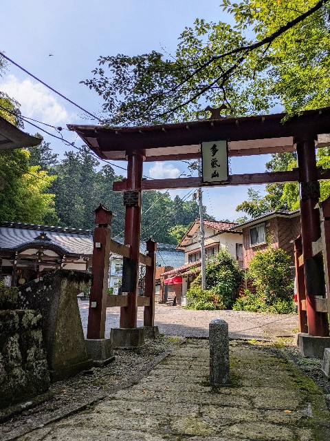 f:id:hanawantan:20240730221348j:image