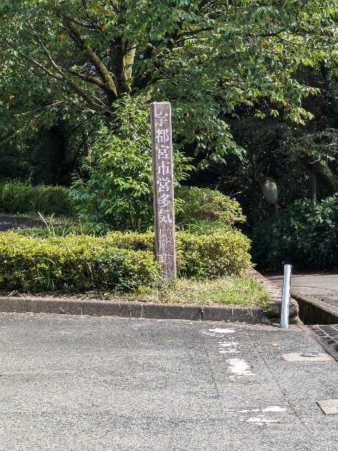 f:id:hanawantan:20240730221713j:image
