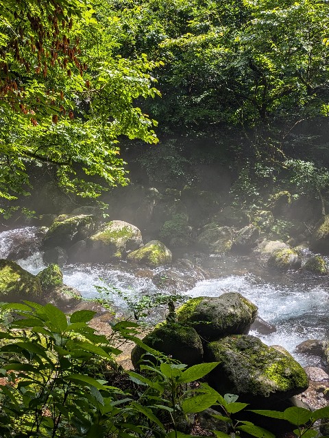 f:id:hanawantan:20240812181418j:image