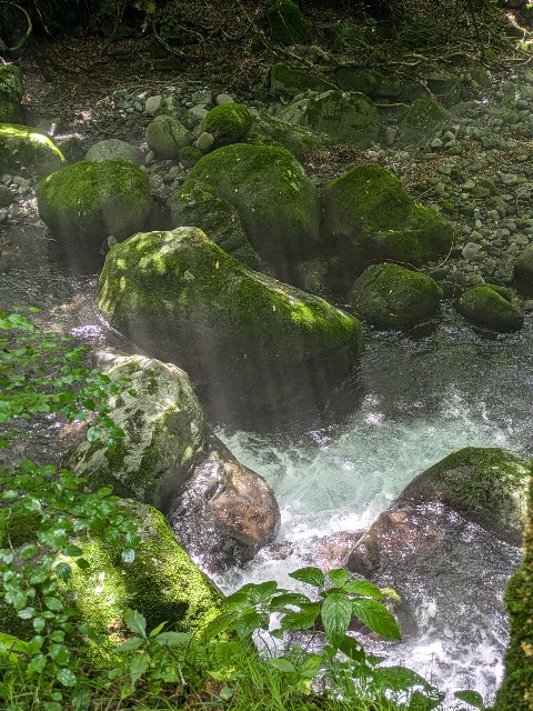 f:id:hanawantan:20240812203820j:image