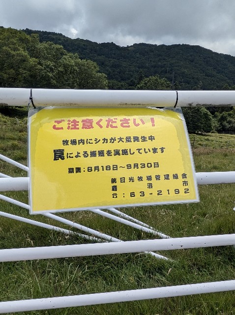 f:id:hanawantan:20240821220947j:image