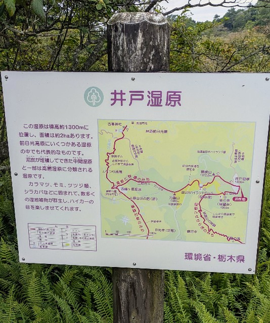 f:id:hanawantan:20240821224537j:image