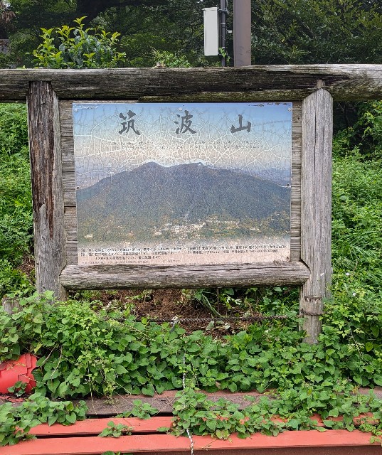 f:id:hanawantan:20240831214600j:image