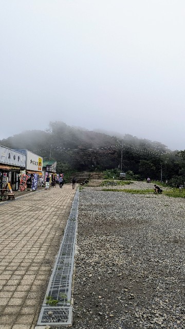f:id:hanawantan:20240831215523j:image