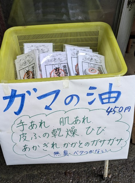 f:id:hanawantan:20240831221858j:image