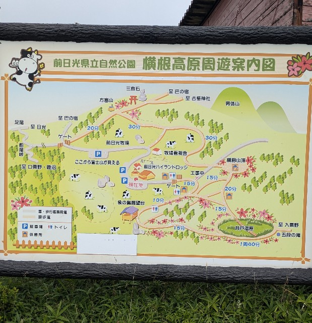 f:id:hanawantan:20240903200536j:image