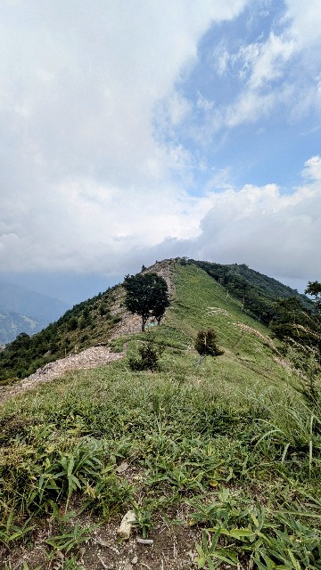 f:id:hanawantan:20240909111542j:image