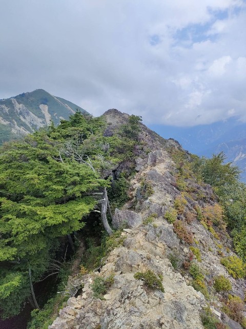 f:id:hanawantan:20240909111646j:image
