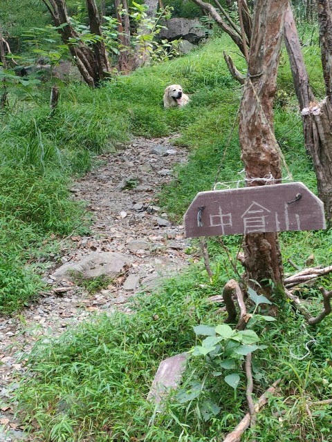 f:id:hanawantan:20240909111841j:image