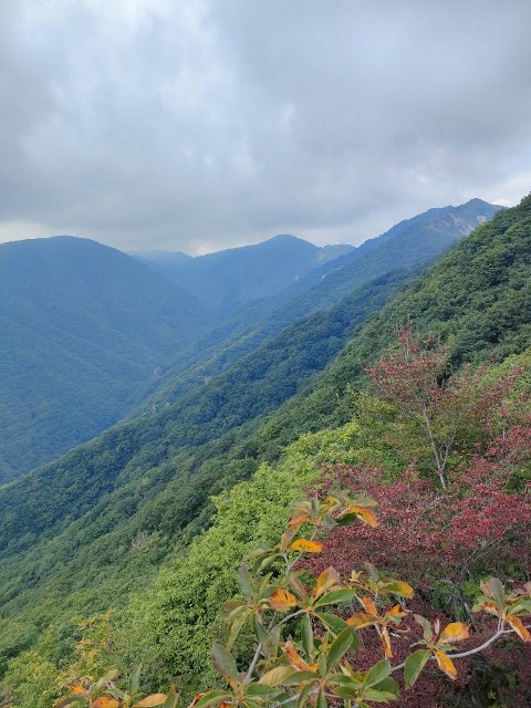f:id:hanawantan:20240909112724j:image