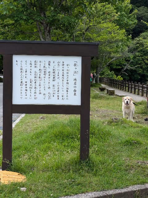 f:id:hanawantan:20240914230110j:image