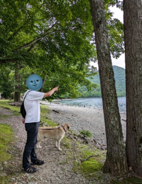 f:id:hanawantan:20240914231235j:image