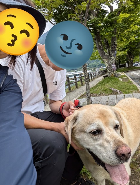f:id:hanawantan:20240915111227j:image