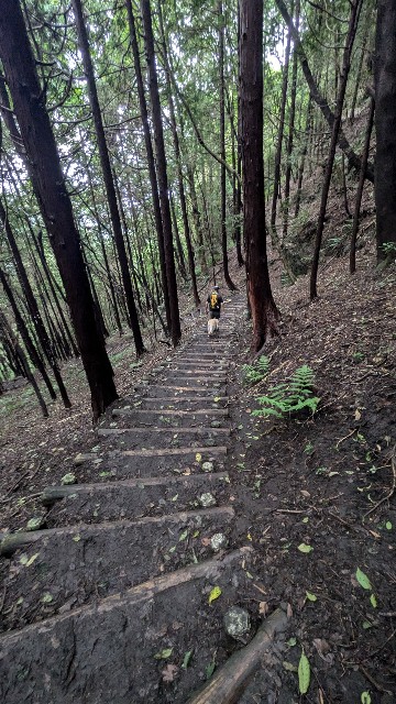 f:id:hanawantan:20240917221024j:image