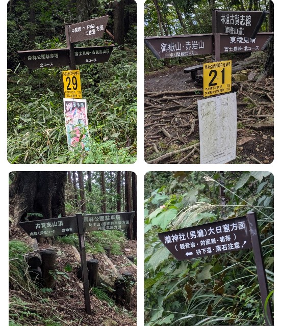 f:id:hanawantan:20240918200841j:image