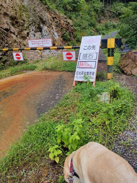 f:id:hanawantan:20240918201328j:image
