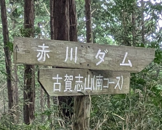 f:id:hanawantan:20240920072544j:image