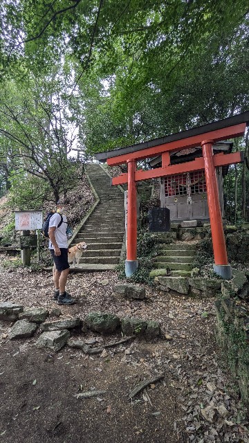 f:id:hanawantan:20240923201103j:image