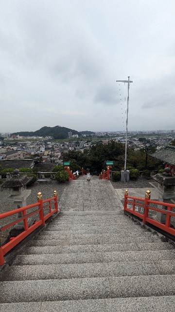f:id:hanawantan:20240923201331j:image