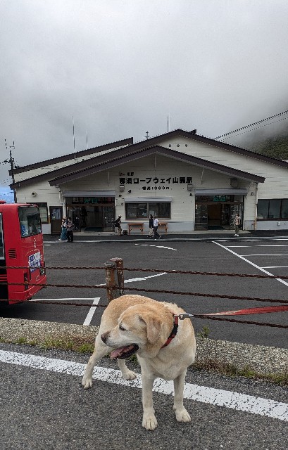 f:id:hanawantan:20240927193130j:image