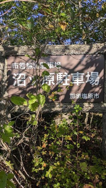 f:id:hanawantan:20241003201916j:image