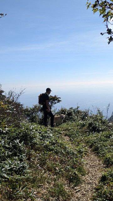 f:id:hanawantan:20241003203158j:image