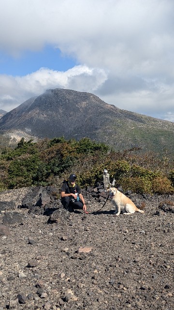 f:id:hanawantan:20241003203609j:image