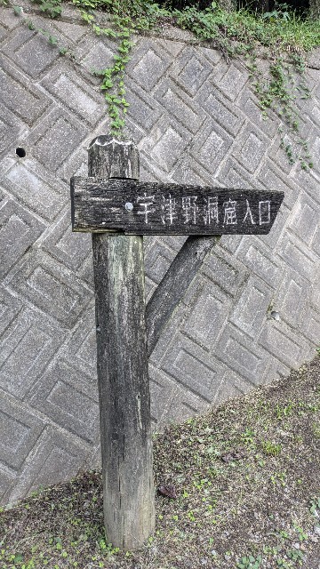 f:id:hanawantan:20241005141708j:image