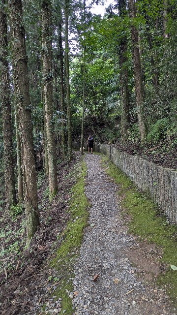 f:id:hanawantan:20241005141730j:image