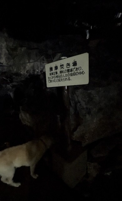 f:id:hanawantan:20241005143251j:image
