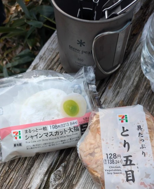 f:id:hanawantan:20241101065153j:image