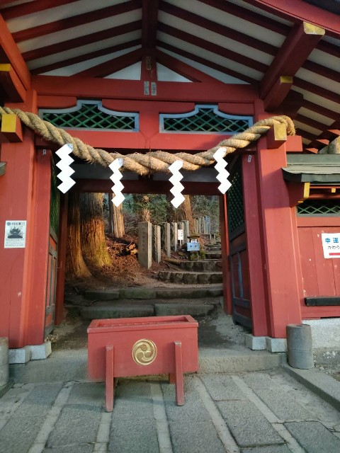 f:id:hanawantan:20241102140406j:image