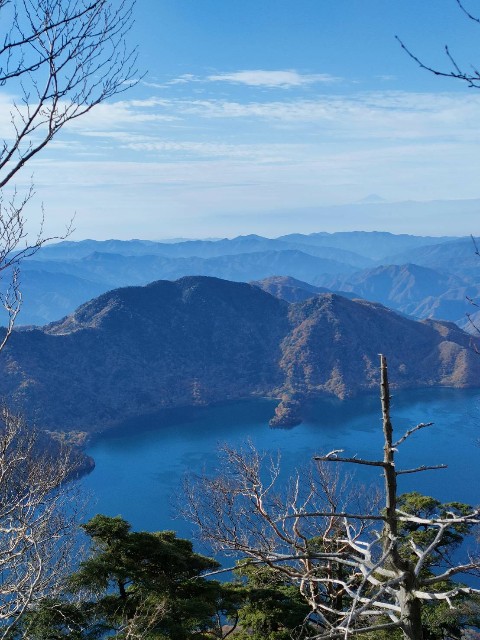 f:id:hanawantan:20241102141856j:image