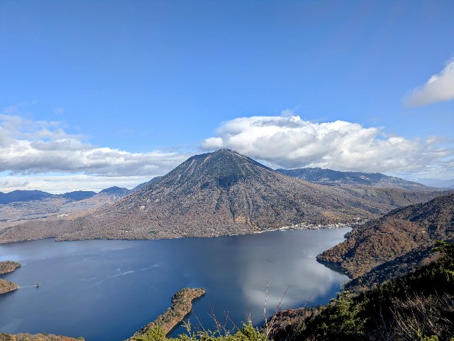 f:id:hanawantan:20241107061600j:image