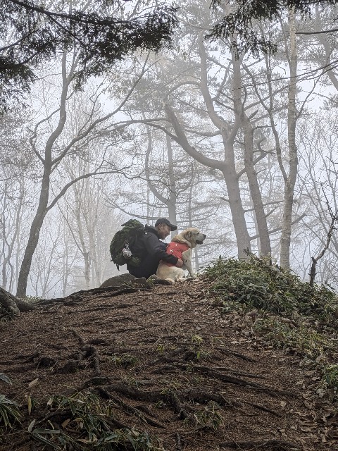 f:id:hanawantan:20241107075018j:image