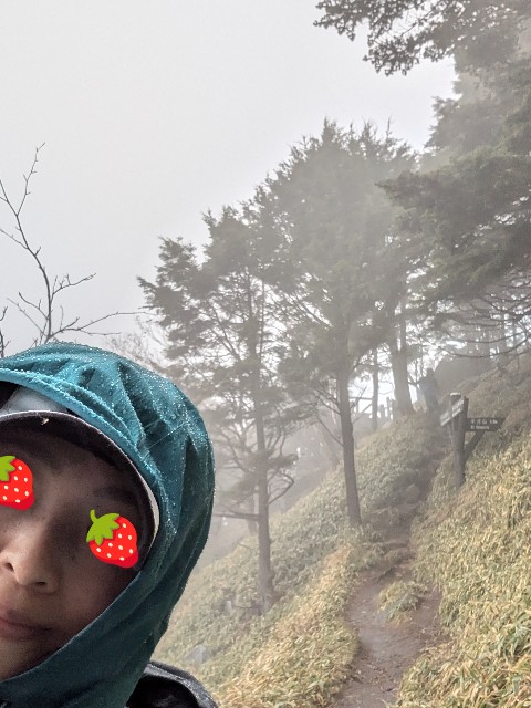 f:id:hanawantan:20241107104634j:image